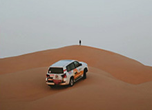 大发官网：官方背书下的信任与极致体验